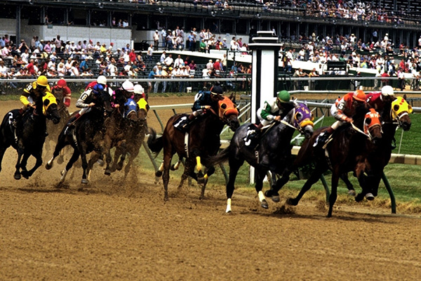Horse Racing Tickets